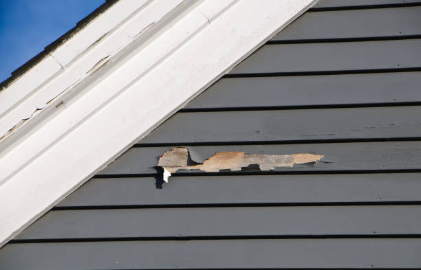 Affordable Siding Repair and Maintenance Services in Batavia, IL